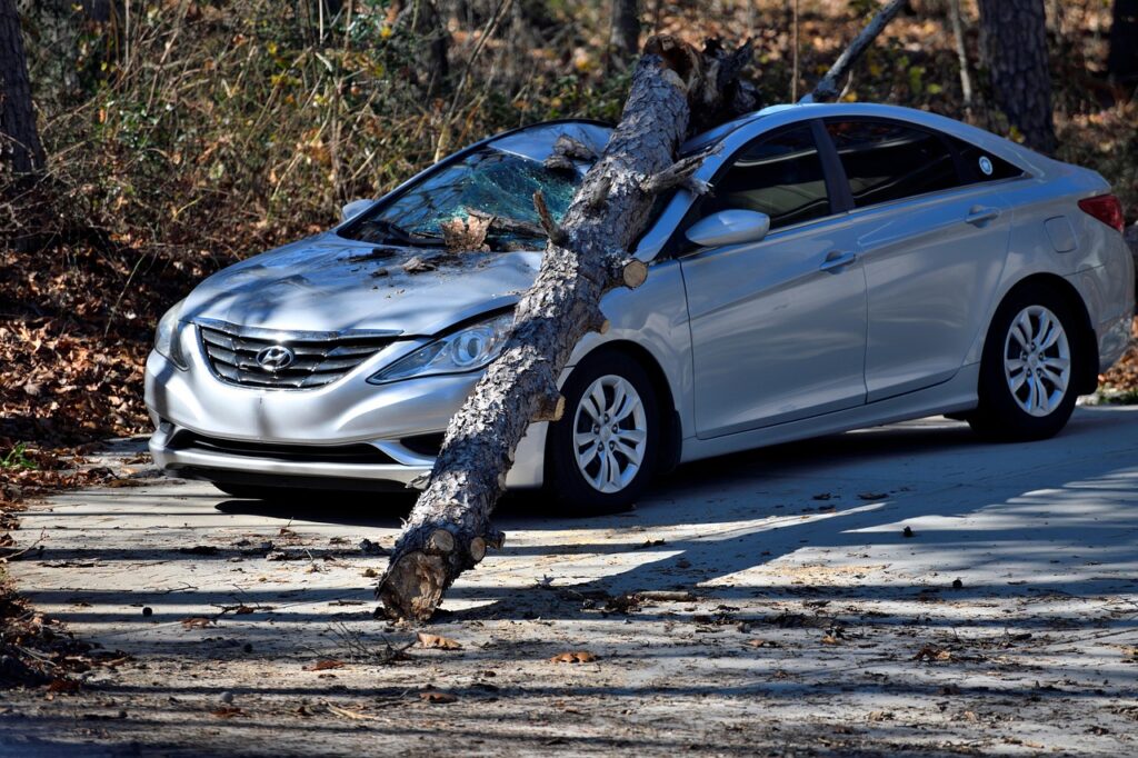 Person reviewing auto insurance documents to lower premium legally